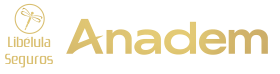 logo anadem